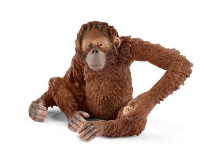 SCHLEICH - ORANGUTAN FEMALE Sale